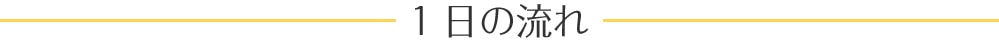 1日の流れ